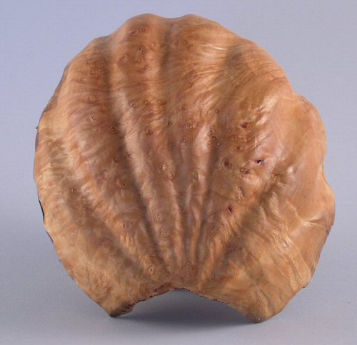 Madrone Sea Shell Outside Vu